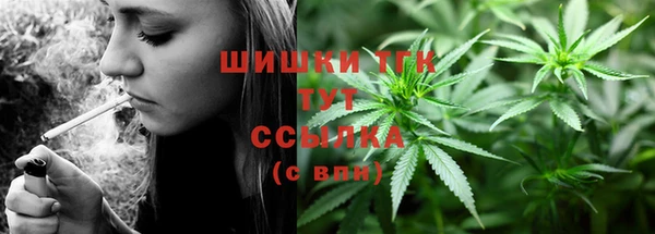 PSILOCYBIN Навашино