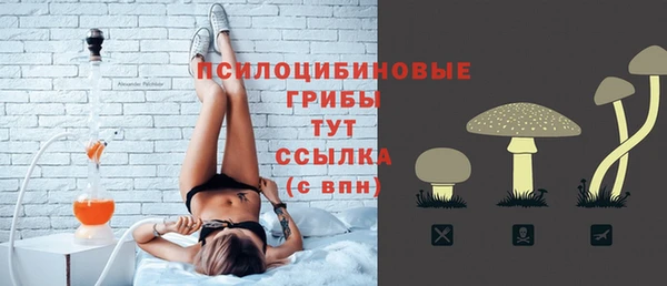 PSILOCYBIN Навашино