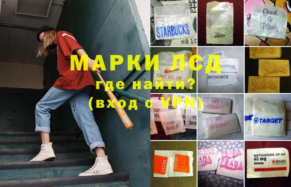PSILOCYBIN Навашино