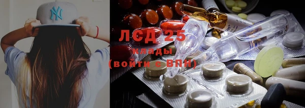 PSILOCYBIN Навашино