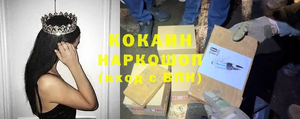 PSILOCYBIN Навашино