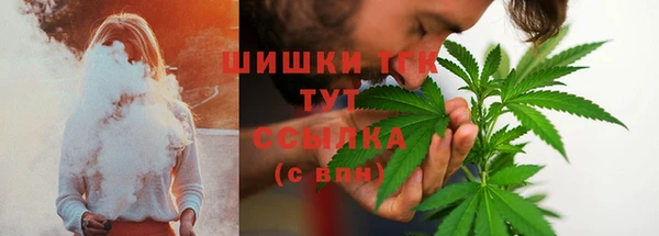 PSILOCYBIN Навашино