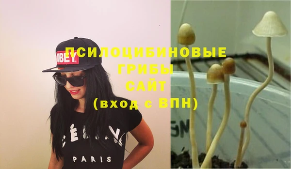 PSILOCYBIN Навашино