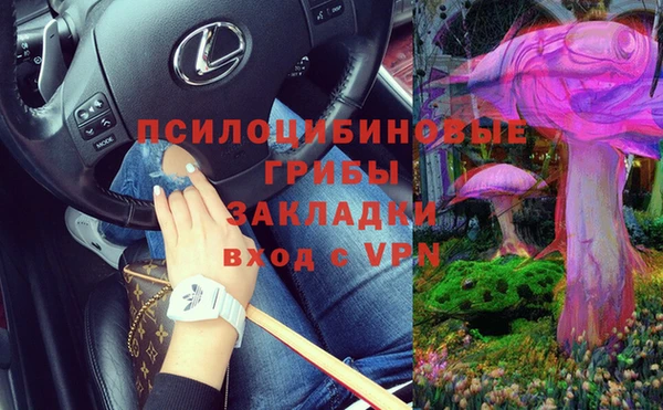мяу мяу мука Надым