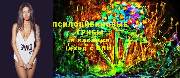 тгк Михайлов