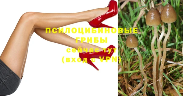 СК Наволоки