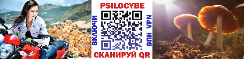 KRAKEN   Остров  Галлюциногенные грибы Psilocybine cubensis 